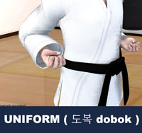 Toeboek the pronunciation under Korean grammar rules, is the uniform worn by practitioners of Korean Martial Arts. Do means way and bok means clothing