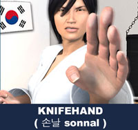 Taekwondo Knife Hand ( 손날 sonnal )
