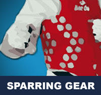 Taekwondo Sparring Gear