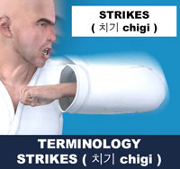 Taekwondo Strikes ( 치기 chigi ) Terminology