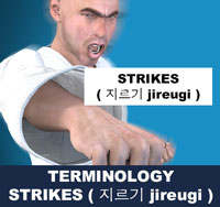 Taekwondo Fist Strikes ( 지르기 jireugi ) Terminology
