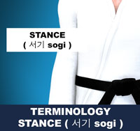 Taekwondo Stances ( 서기 sogi ) Terminology