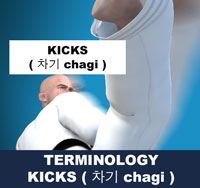 Taekwondo Kicking ( 차기 chagi ) Terminology