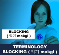 Taekwondo Blocking ( 막기 makgi ) Terminology