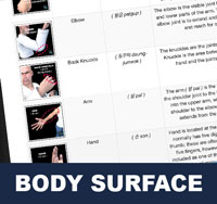 Body Surfaces | Korean Language and Terminology