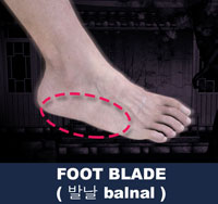 Foot Blade ( 발날 balnal )
