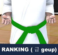 Taekwondo Ranking ( 급 geup )