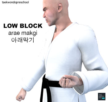Taekwondo Low Block ( 아래막기 arae makgi )