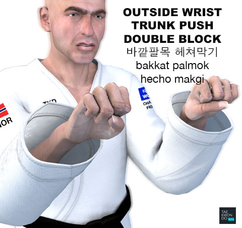 Outside Wrist Double Block ( 바깥팔목 헤쳐막기 bakkat palmok hecho makgi )