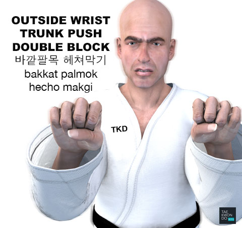 Outside Wrist Double Block ( 바깥팔목 헤쳐막기 bakkat palmok hecho makgi )