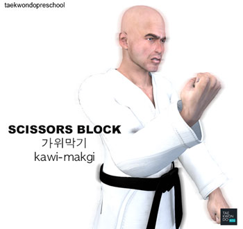 Scissors Block ( 가위막기 Kawi makgi )