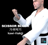 Scissors Block ( 가위막기 kawi-makgi )