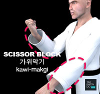 Scissors Block ( 가위막기 kawi-makgi )