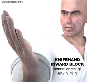 Knife-Hand Inward Block ( 손날 안막기 sonnal an makgi )