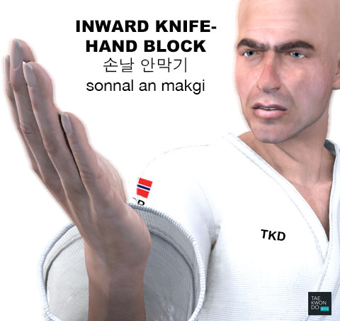 Knife-Hand Inward Block ( 손날 안막기 sonnal an makgi )