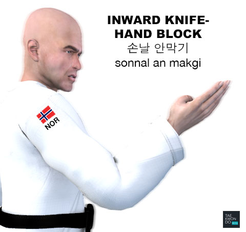 Knife-Hand Inward Block ( 손날 안막기 sonnal an makgi )