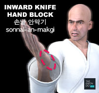 Inward Knife Hand Block ( 손날 안막기 sonnal-an-makgi )