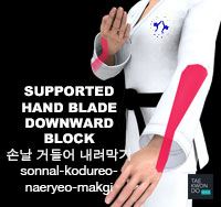 Supported Hand Blade Downward Block ( 손날 거들어 내려막기 sonnal-kodureo-naeryeo-makgi )