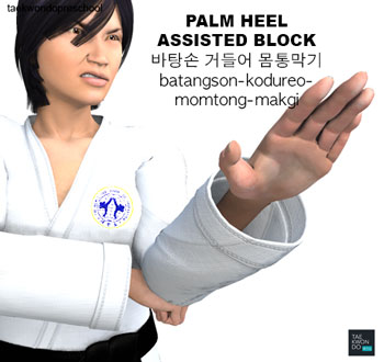 Palm Heel Assisted Block ( 바탕손 거들어 몸통막기 batangson-kodureo-momtong-makgi )