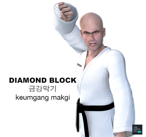 Diamond Block ( 금강막기 keumgang-makgi )