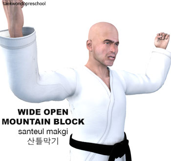 Wide Open Mountain Block ( 산틀막기 santeul-makgi )