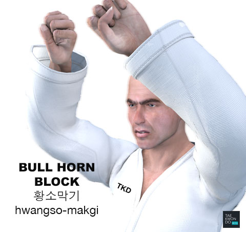 Bull Horn Blocking ( 황소막기 Hwangso-makgi )