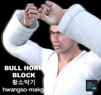 Bull Horn Block ( 황소막기 hwangso-makgi )