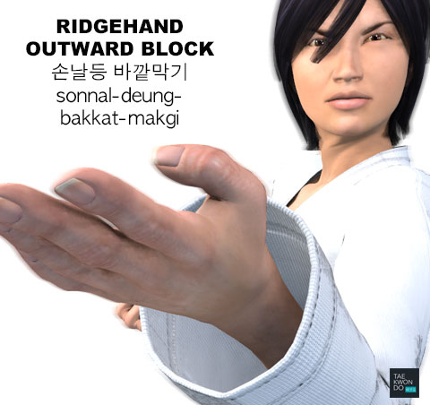 Ridgehand Outward Block ( 손날등 바깥막기 sonnal-deung-bakkat-makgi )