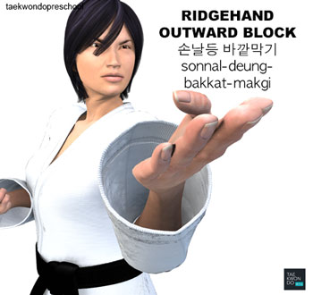 Ridgehand Outward Block (Sonnal deung bakkat makgi)