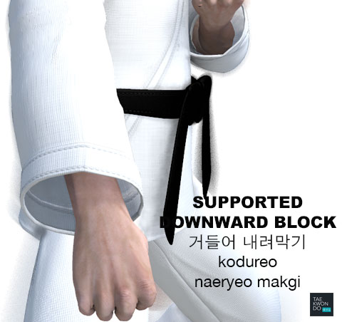 Supported Downward Blocking ( 거들어 내려막기 kodureo naeryeo makgi )