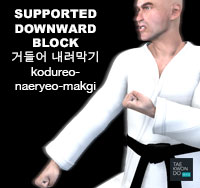 Supported Downward Block ( 거들어 내려막기 kodureo-naeryeo-makgi )