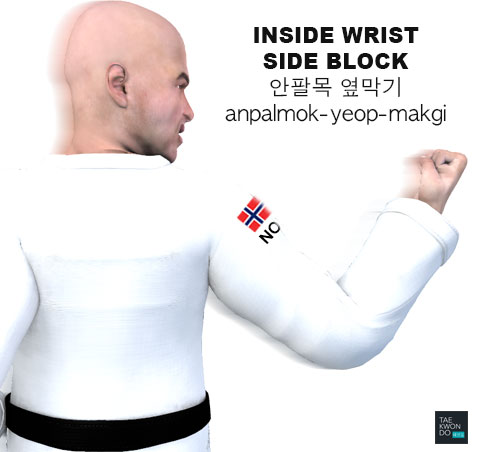 Inside Wrist Side Block ( 안팔목 옆막기 anpalmok-yeop-makgi )