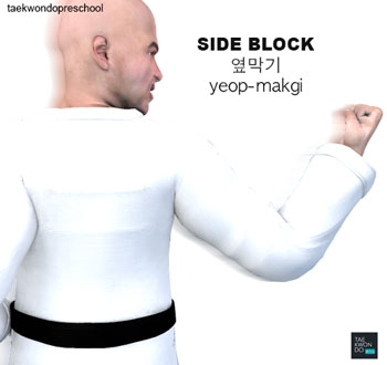 Side Block ( 옆막기 yeop-makgi )