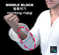 Middle Block ( 몸통막기 momtong-makgi )