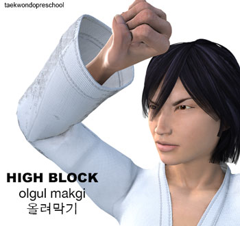 Taekwondo High Block ( 올려막기 olgul makgi )