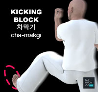 Kicking Block ( 차막기 cha-makgi )