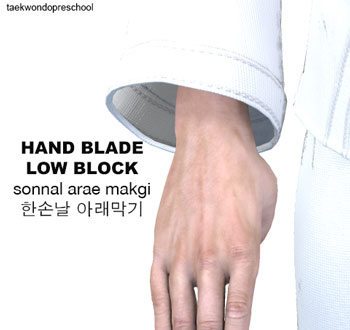 Hand Blade Low Block ( 한손날 아래막기 sonnal arae makgi )
