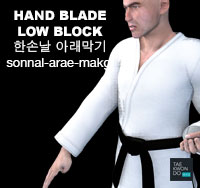 Hand Blade Low Block ( 한손날 아래막기 sonnal-arae-makgi )