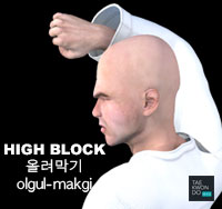 High Block ( 올려막기 olgul-makgi )