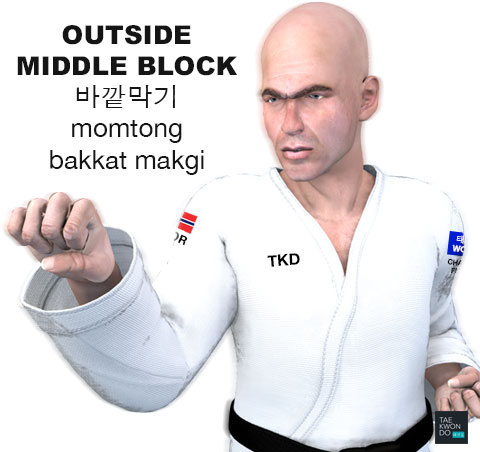 Taekwondo Outside Middle Block ( 바깥막기 momtong bakkat makgi )