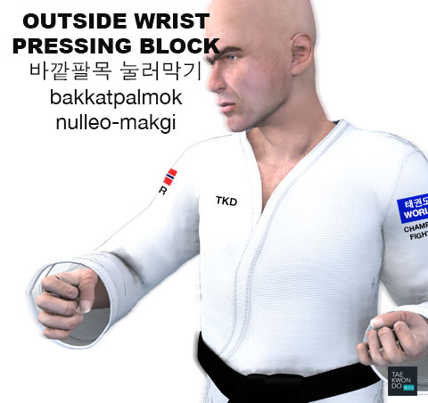 Outside Wrist Pressing Block ( 바깥팔목 눌러막기 bakkatpalmok nulleo-makgi )