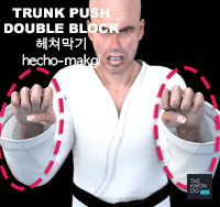 Trunk Push Double Block ( 헤쳐막기 hecho-makgi )