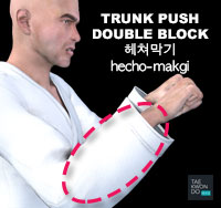 Trunk Push Double Block ( 헤쳐막기 hecho-makgi )
