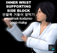 Inner Wrist Supporting Side Block ( 안팔목 거들어 옆막기 anpalmok-kodureo-yeop-makgi )