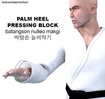 Palm Heel Pressing Block ( 바탕손 눌러막기 batangson-nulleo-makgi )