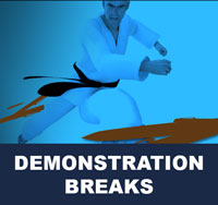 Taekwondo Demonstration Breaks