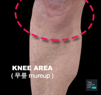 Knee ( 무릎 mureup )