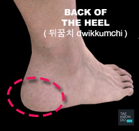 Back of the Heel ( 뒤꿈치 dwikkumchi )
