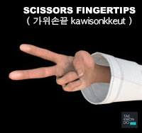 Scissors Fingertips ( 가위손끝 kawisonkkeut )