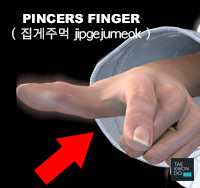 Pincers Finger ( 집게주먹 jipgejumeok )